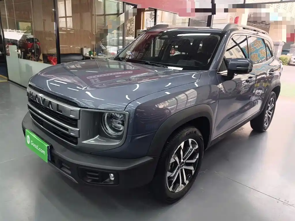 Haval Big Dog 2024 1.5T DCT Border Collie Edition