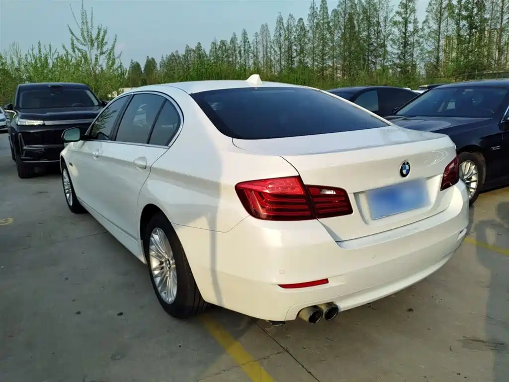 BMW 5 Series 2014 525Li Leading фото 5
