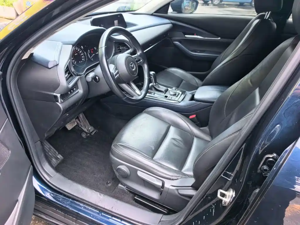 Mazda CX-30 2021 2021 2.0L Auto Elegant Joy Type