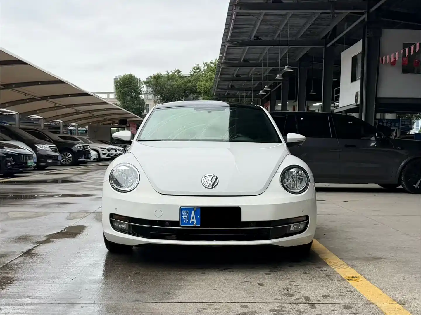 Фото 2 - Volkswagen Beetle