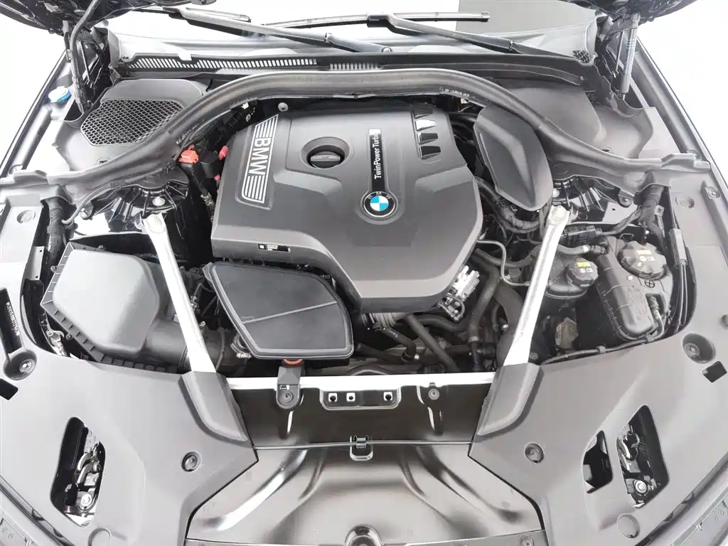 BMW 5 Series 2019 530Li Leading M Sport Package фото 6