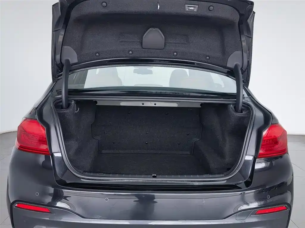 BMW 5 Series 2019 530Li Leading M Sport Package фото 16