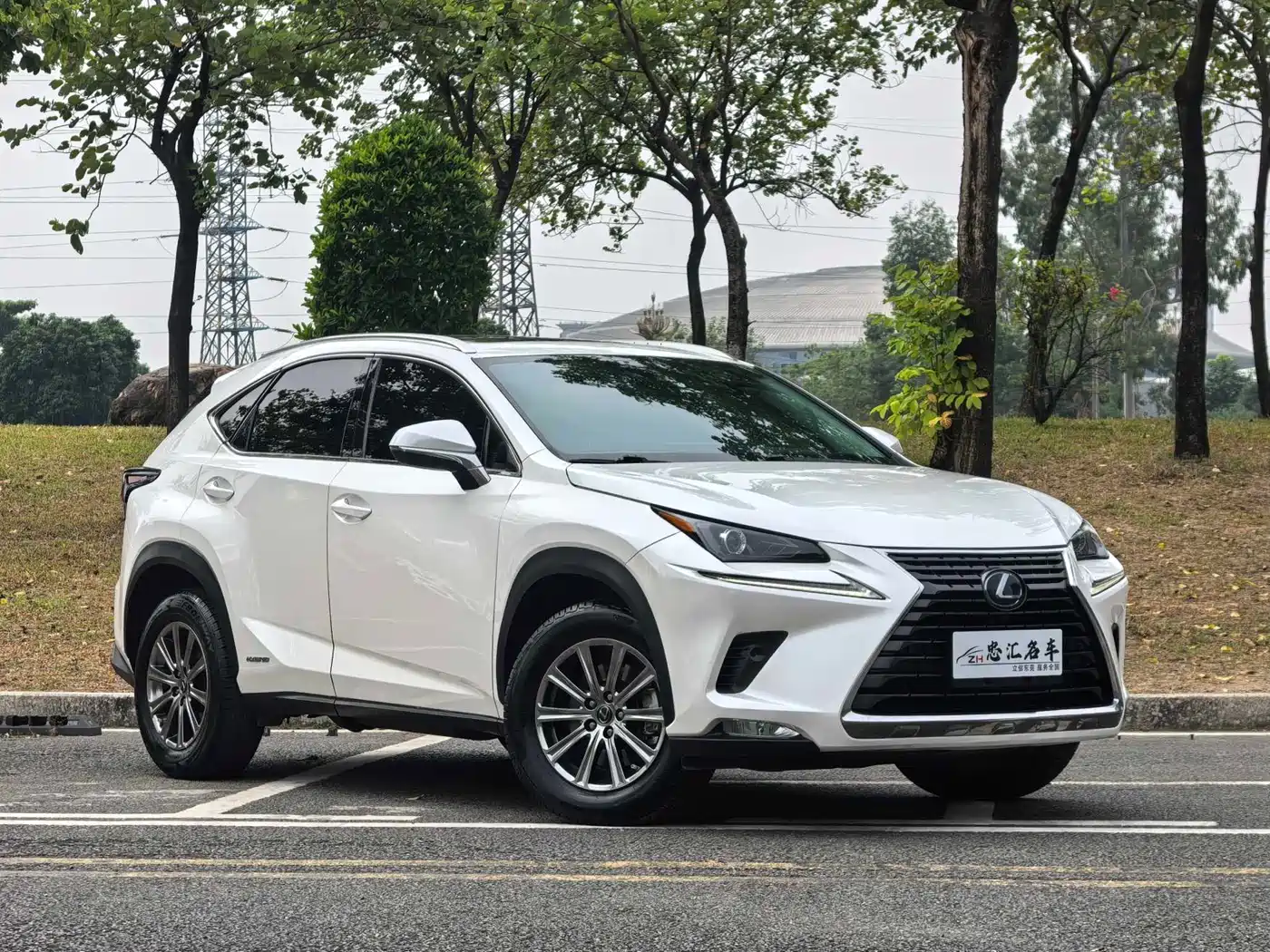 LEXUS NX