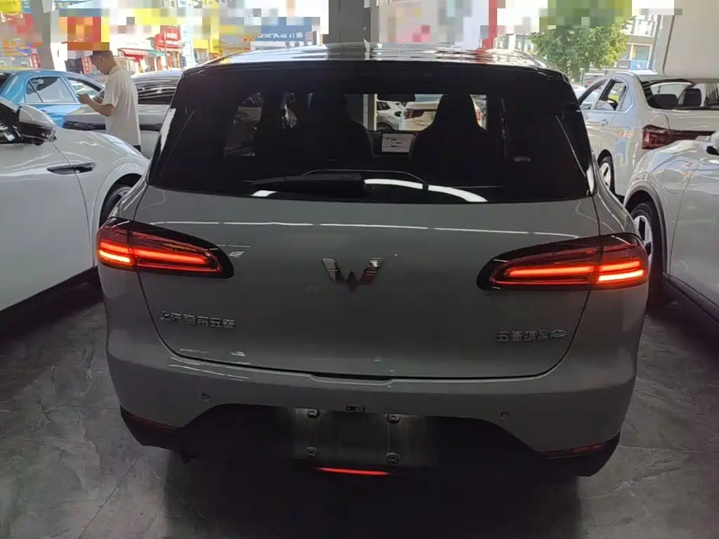 Wuling Motors Wuling Binguo PLUS 2025 2024 401km Range 5-seater