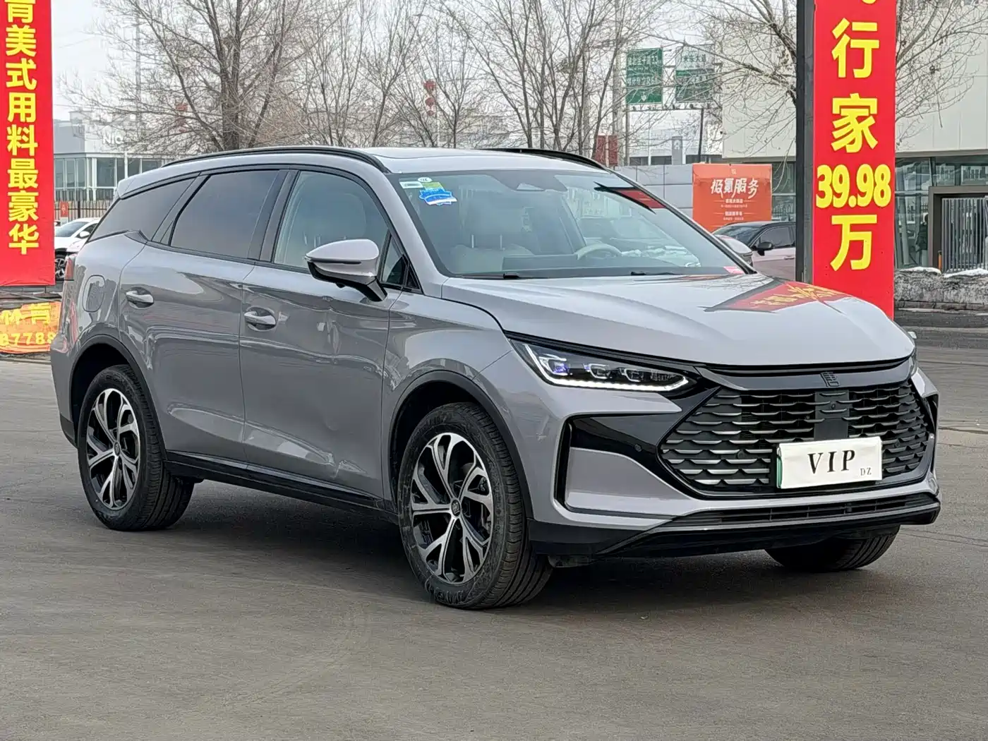 BYD Tang New Energy 2025 DM-i 115KM Premium фото 3