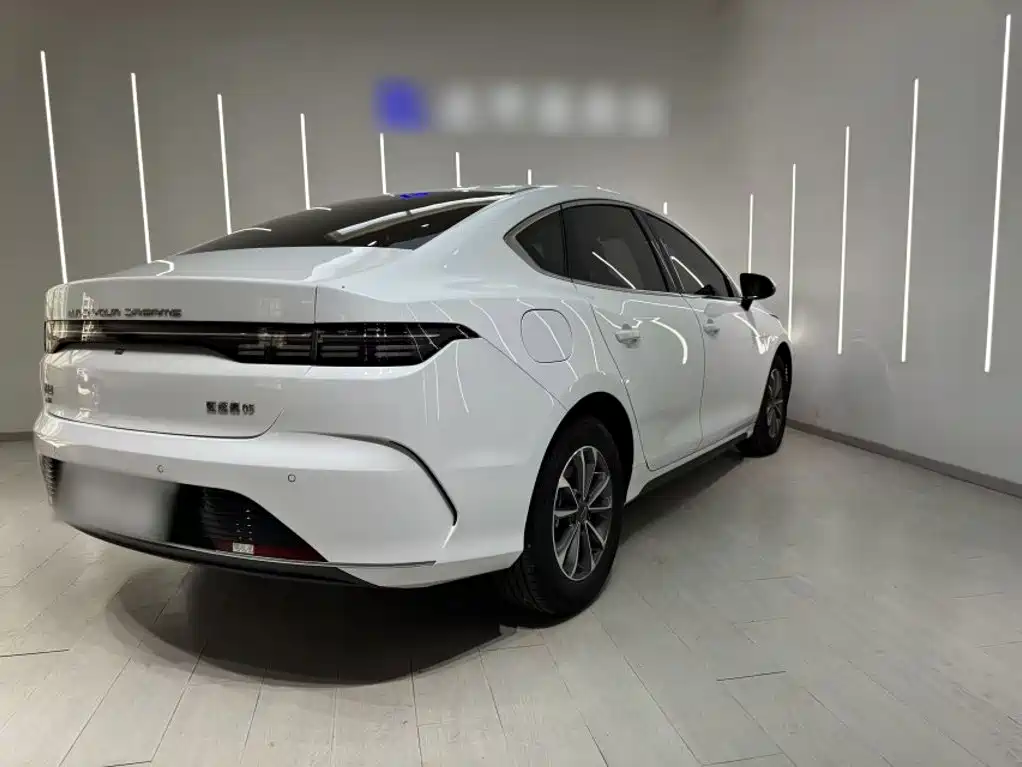 BYD Destroyer 05 2025 2024 Glory Edition DM-i 55KM Luxury