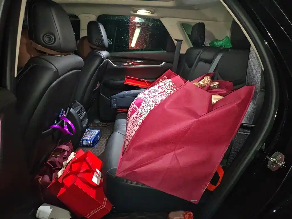 Cadillac XT5 2018 25T Luxury фото 15