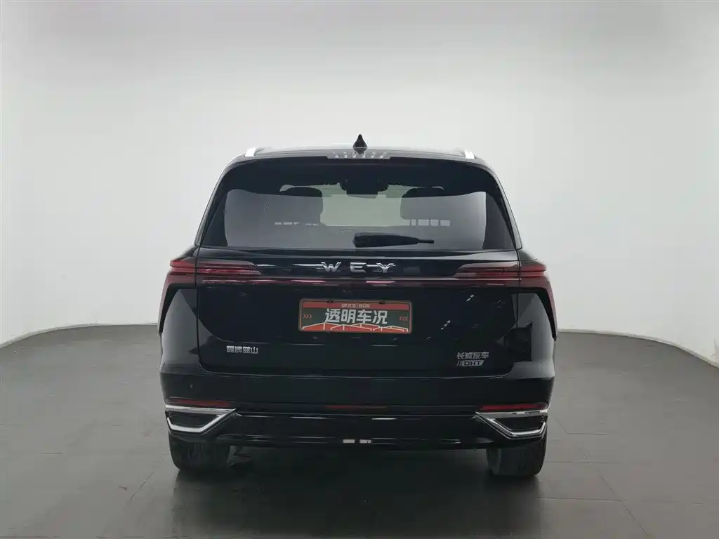 Wey Lanshan 2023 AWD Ultra Long Range Edition фото 4