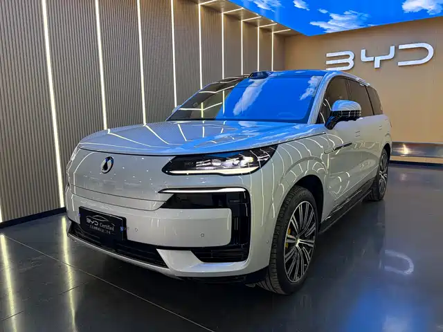 Denza N9 2025 Flagship Model