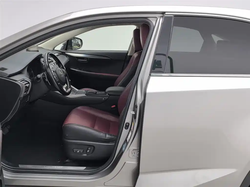 Lexus NX 2018 Model 300 FWD Fengxing Edition фото 10