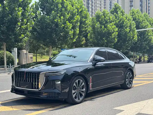 Hongqi H9 2024 2.0T Qichang Luxury Business Edition