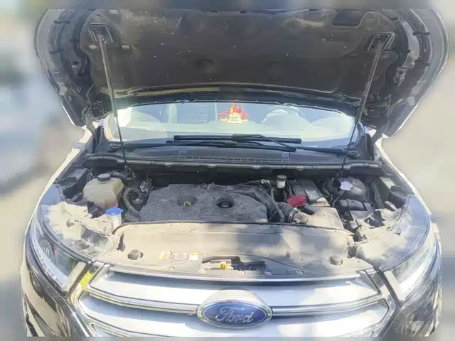 Ford Edge 2018 EcoBoost 245 2WD Premium Type 7-seater China VI — фото 3