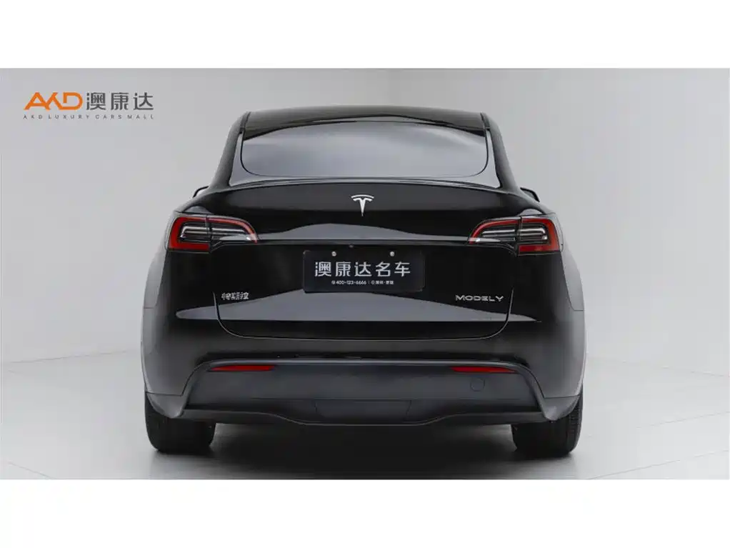 Tesla Model Y 2021 2021 Standard Range Rear-Wheel Drive