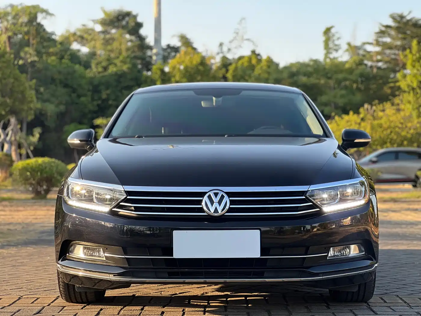 Volkswagen Magotan 2019 330TSI DSG Luxury Class China VI фото 2