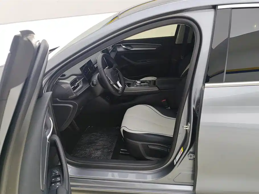 BYD Destroyer 05 2024 Glory Edition DM-i 55KM Luxury фото 9