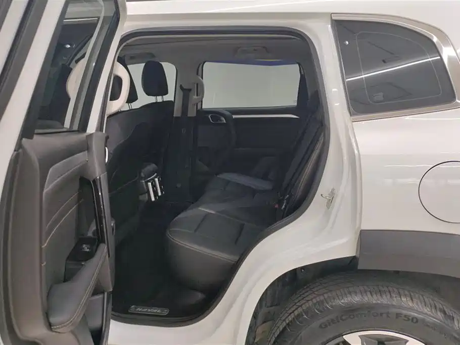 Haval Big Dog 2021 1.5T DCT 2WD Border Collie - Wangcai Edition фото 11