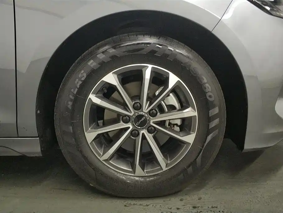 BYD Destroyer 05 2024 Glory Edition DM-i 55KM Luxury фото 6