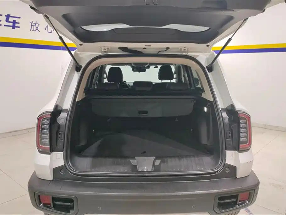 Haval Big Dog 2021 1.5T DCT 2WD Border Collie - Wangcai Edition фото 4