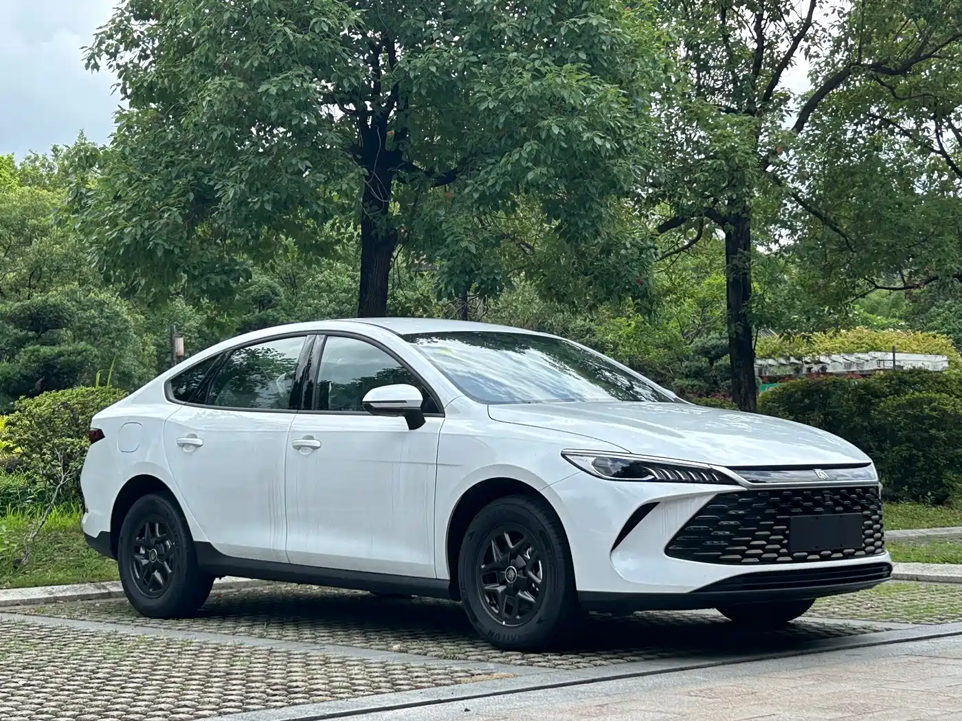 2026 BYD Qin PLUS