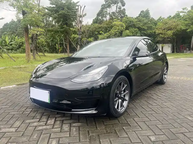 Tesla Model 3 Рестайлинг, стандартный запас хода, задний привод, улучшенная, 3D1