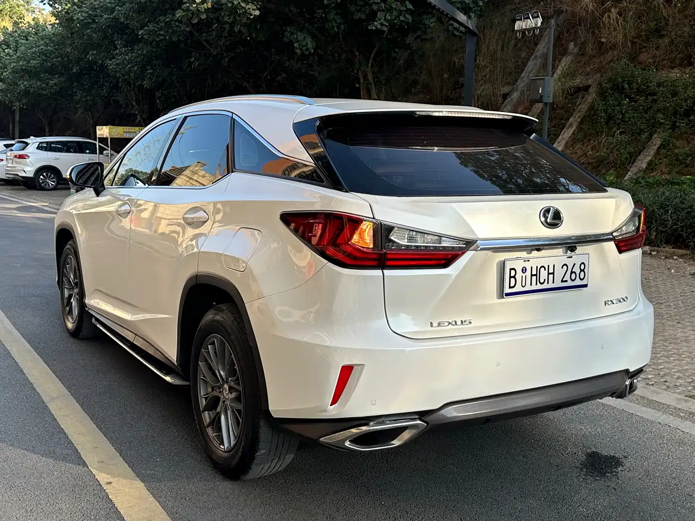 Lexus RX 2016 300 2WD Elite Edition (China V) фото 6