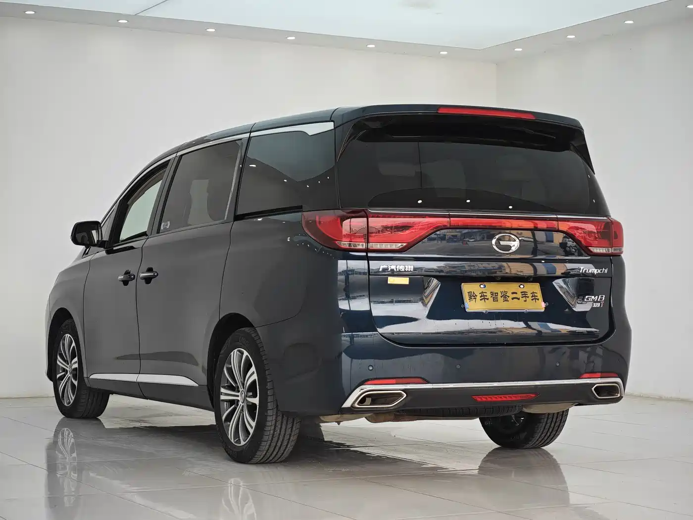 GAC Trumpchi Trumpchi M8 2018 320T Premium Edition фото 6