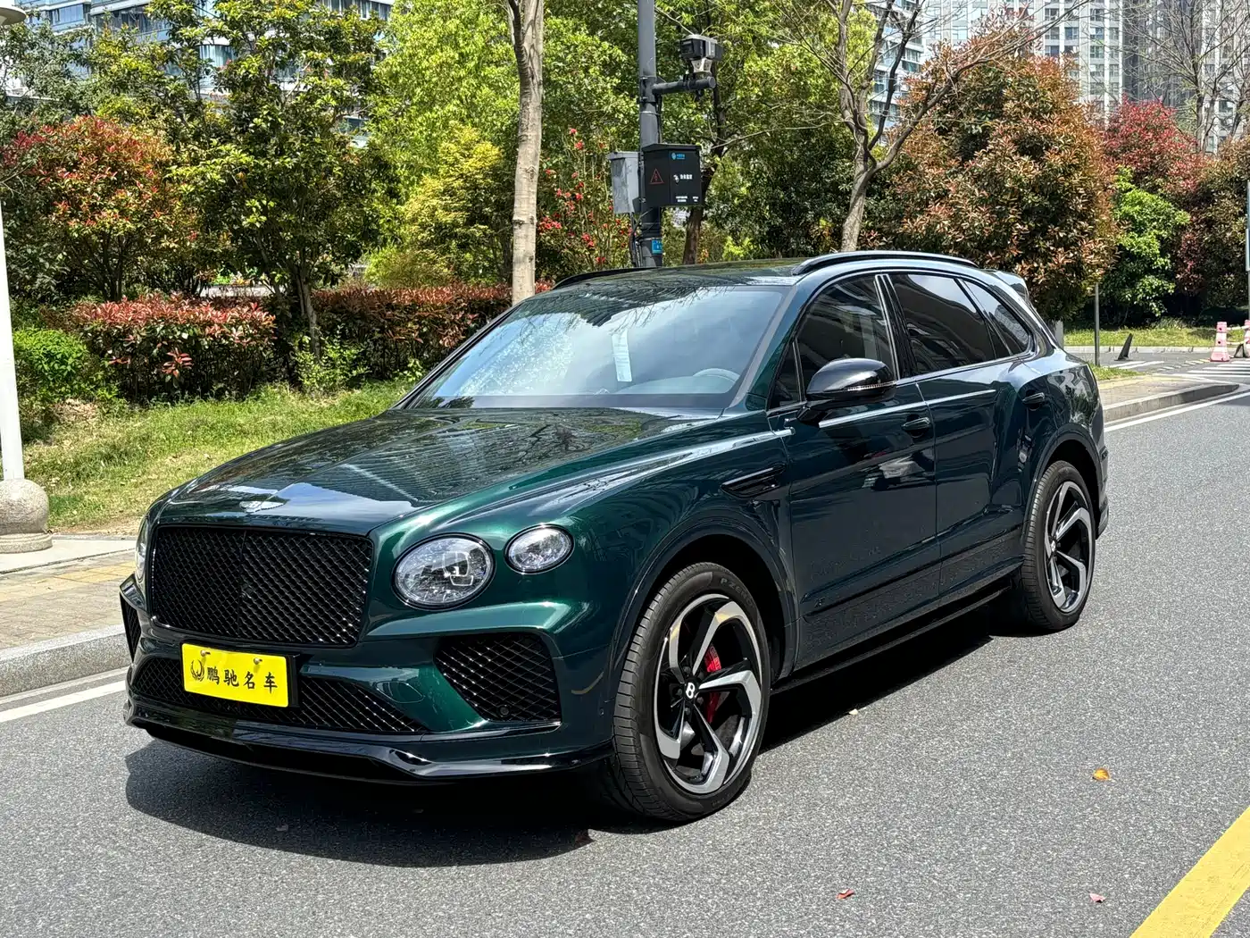 BENTLEY TIM YUE