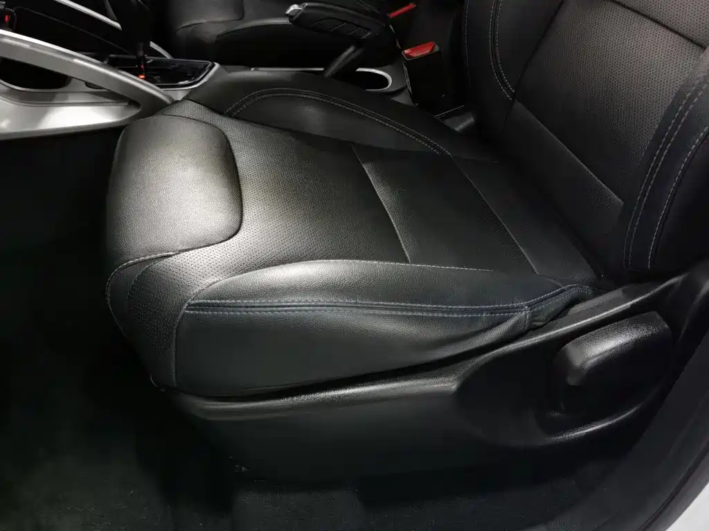 Ruilan Auto Maple 30X 2020 2020 Elegance Edition