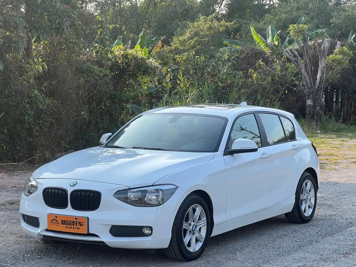 BMW 1 Series (Import) 2013 Facelift 116i Leading Model