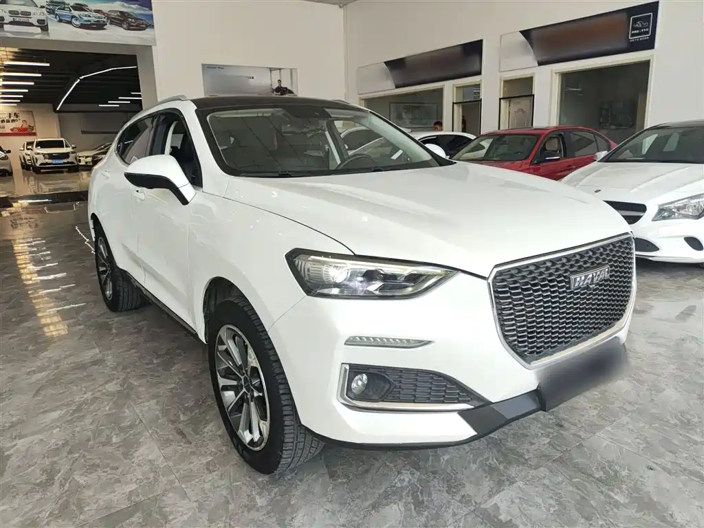 Haval F5 2019 National Trend Edition 1.5T iTrend China VI фото 4