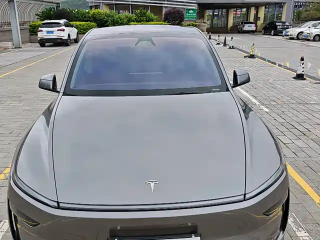 Tesla Model Y 2025 Model Long Range All-Wheel Drive Launch Edition — фото 3