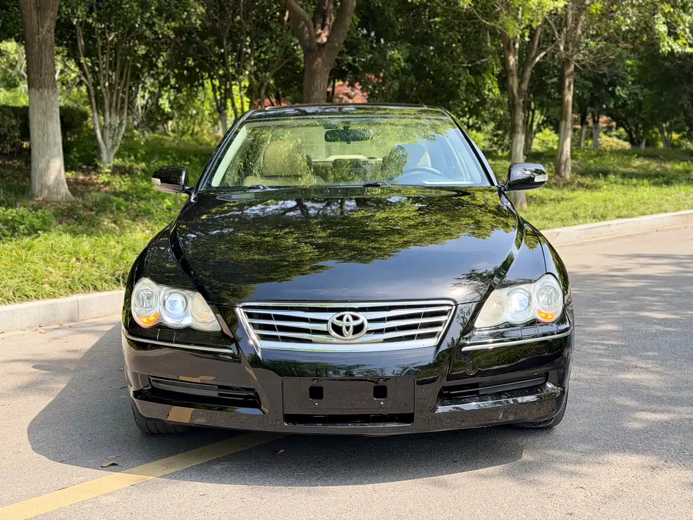 Toyota Reiz 2008 2.5S Special Commemorative Edition фото 2