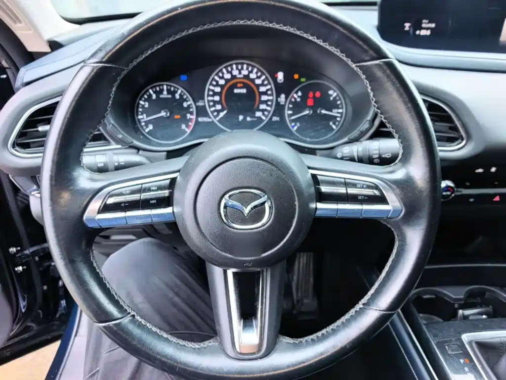 Mazda CX-30 2021 2021 2.0L Auto Elegant Joy Type