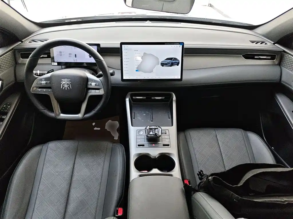 BYD Qin PLUS 2025 EV Smart Drive Edition 420KM Leading Type фото 10