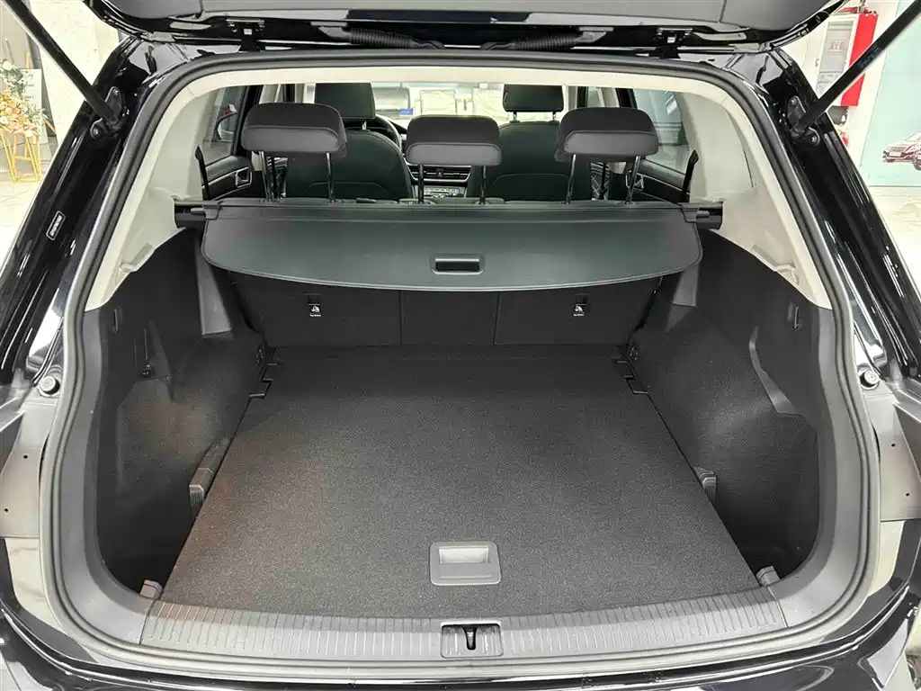 Volkswagen Tiguan L 2023 280TSI 2WD Trend Limited Edition фото 16