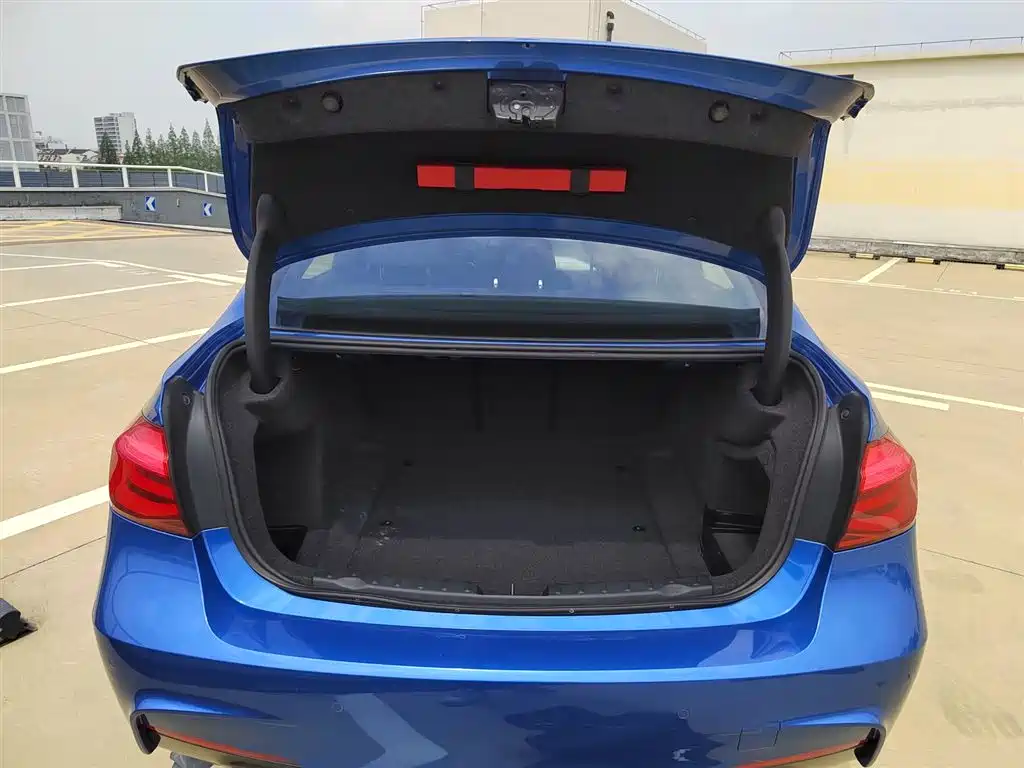BMW 3 Series 2017 320i M Sport фото 19