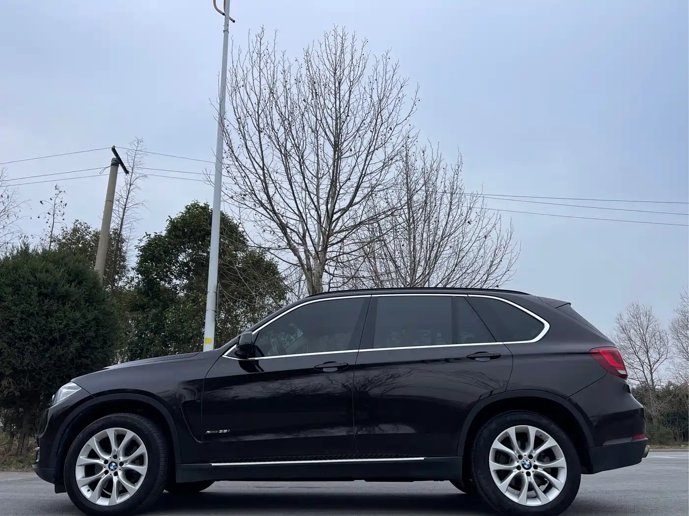 BMW X5 (Import) 2014 xDrive35i Elegance фото 4