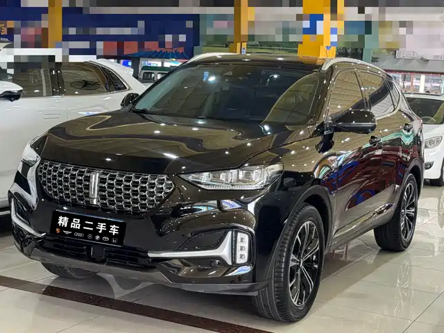 WEI PAI WEI BRAND VV6