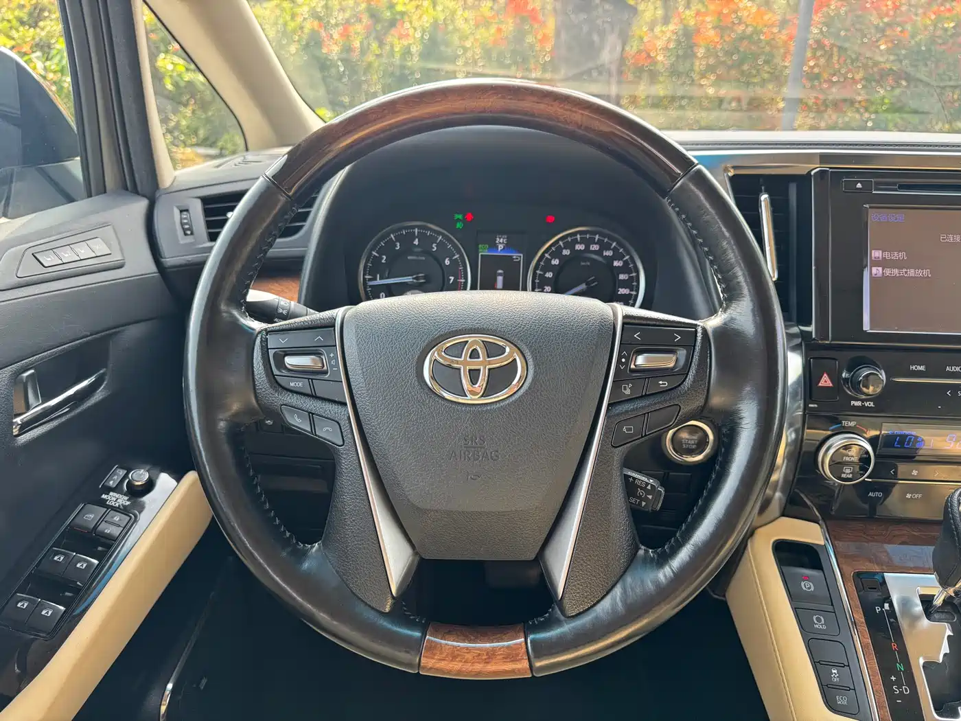 Toyota Alphard 2018 3.5L Premium фото 12