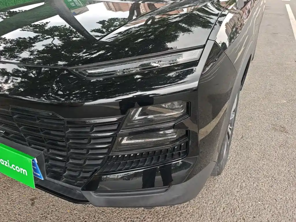 Фото 24 - Jetour Dasheng