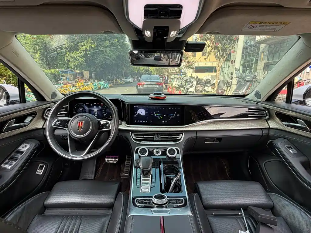 صورة 13 - Hongqi H9