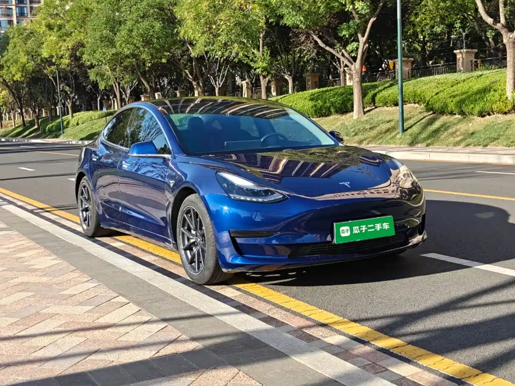 Tesla Model 3 2020 2020 Standard Range Rear-Wheel Drive Upgrade