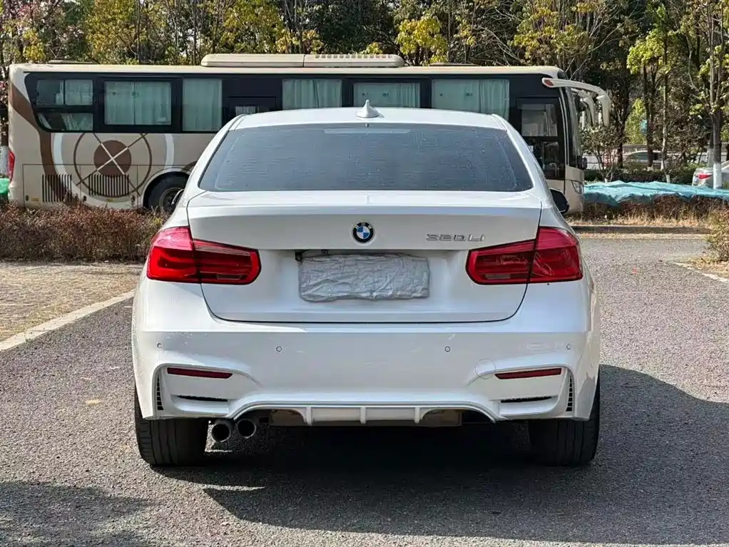 BMW 3 Series 2017 320Li Luxury Design Package фото 8
