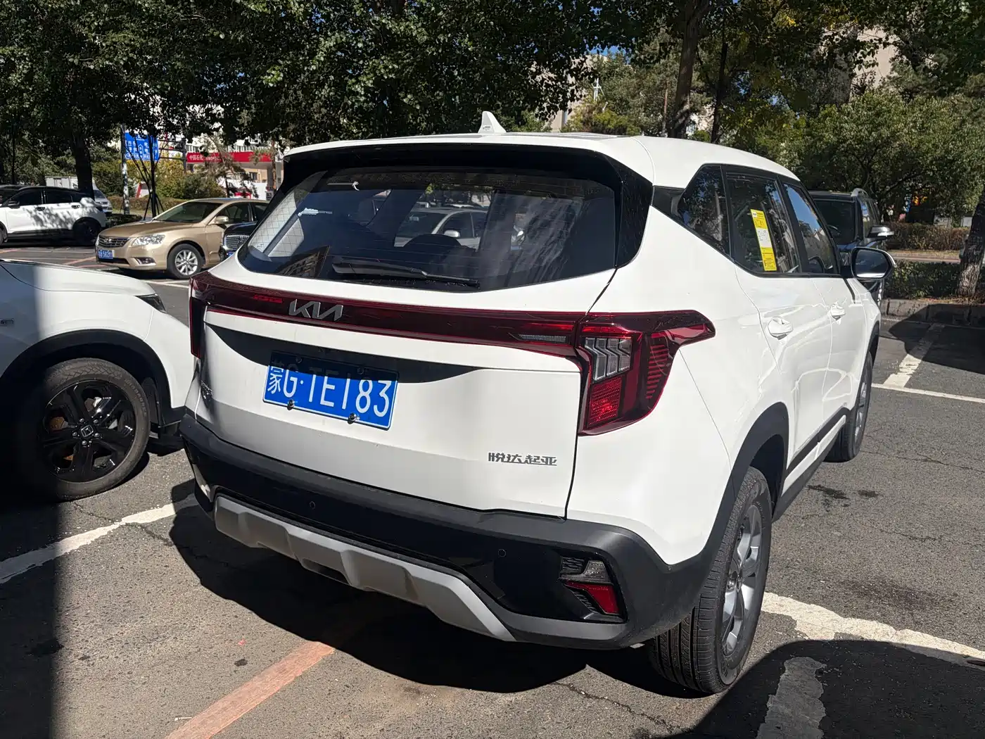 Kia Seltos 2026 2026 Model 1.5L IVT Comfort Edition