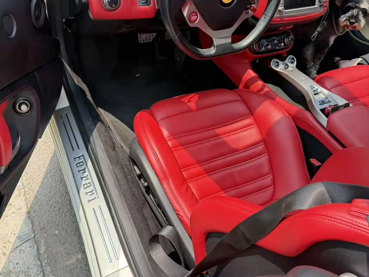 Ferrari California T 2011 2009 4.3L Standard