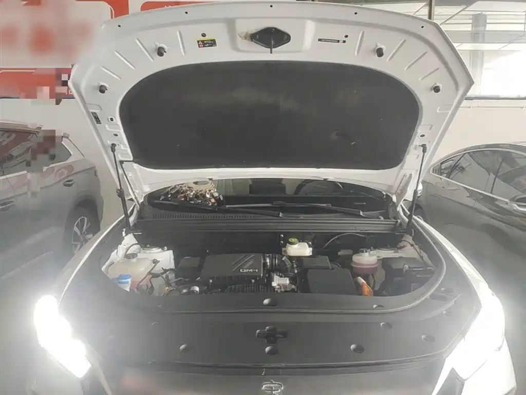 BYD Song Pro New Energy 2024 Glory Edition DM-i 71KM Pilot фото 20