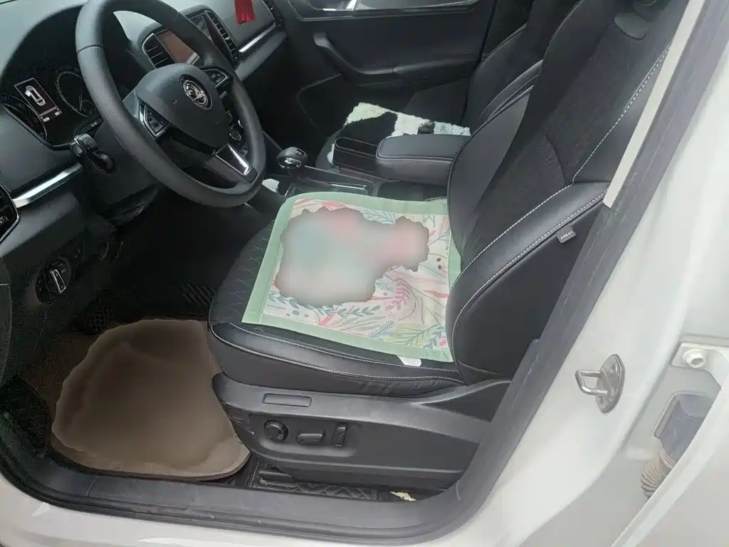 SKODA KROK