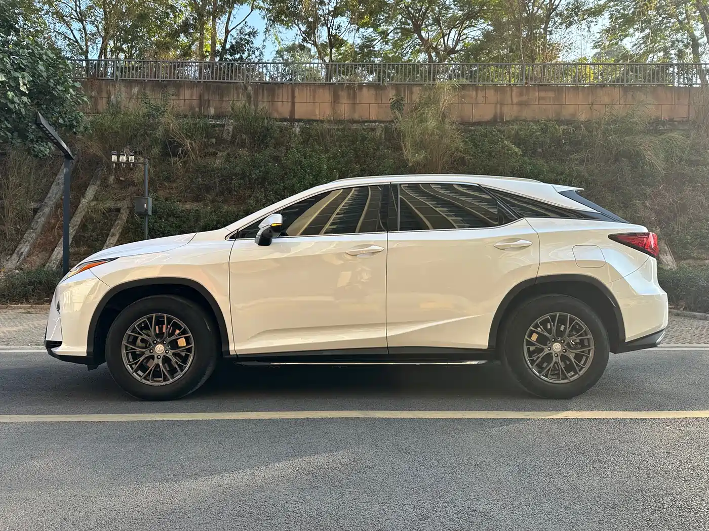 Lexus RX 2016 300 2WD Elite Edition (China V) фото 7