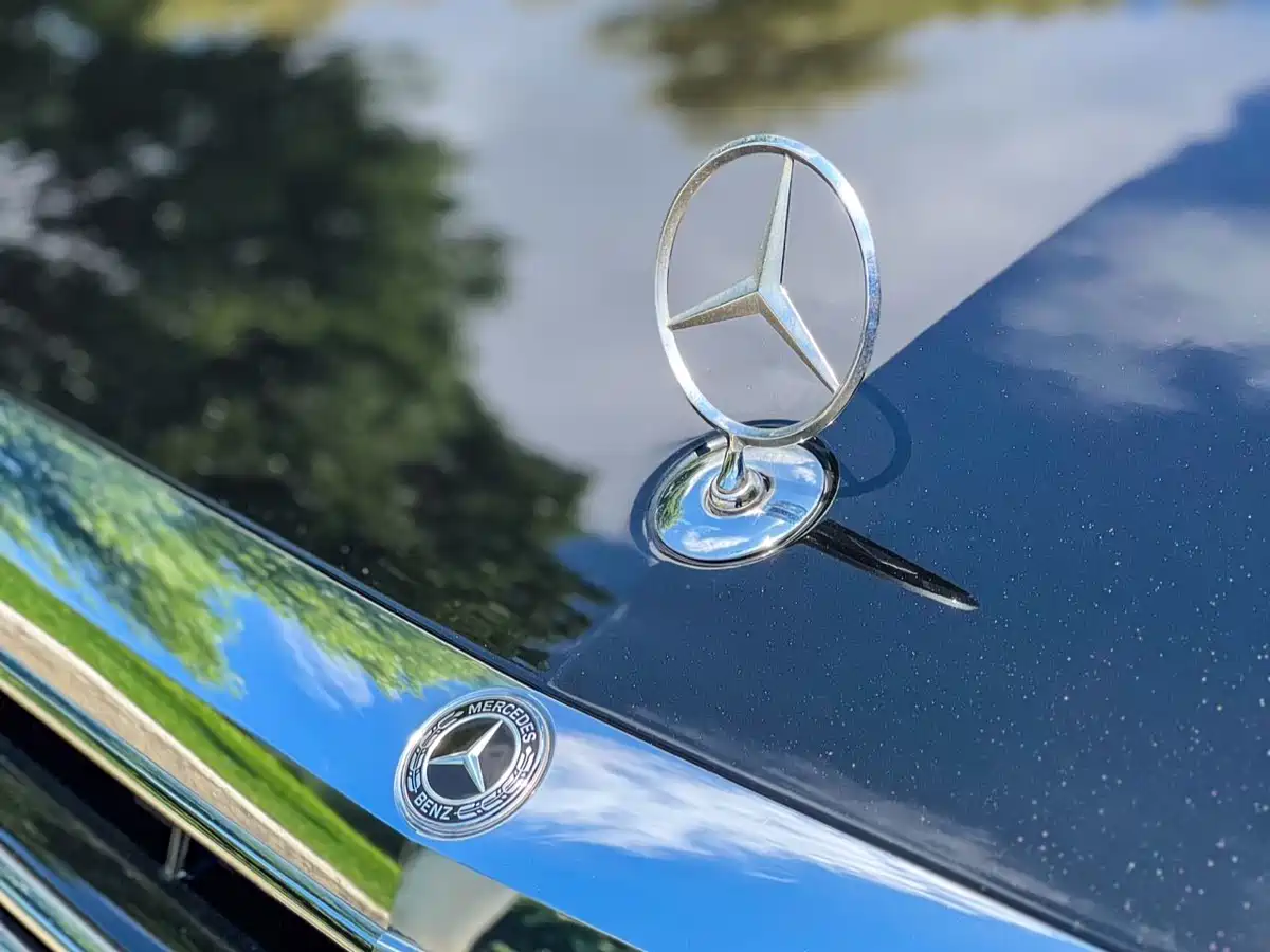 Mercedes-Benz S-Class 2020 S 350 L Business Edition Collector's Version фото 12
