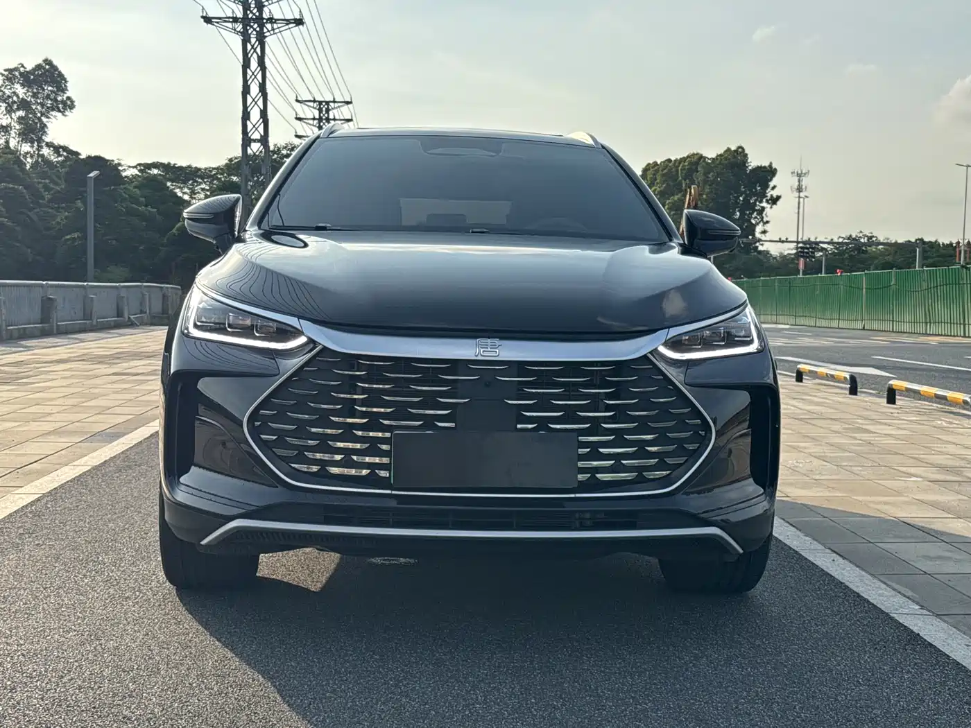 BYD Tang New Energy 2025 Smart Driving Edition DM-i 115KM Flagship фото 2